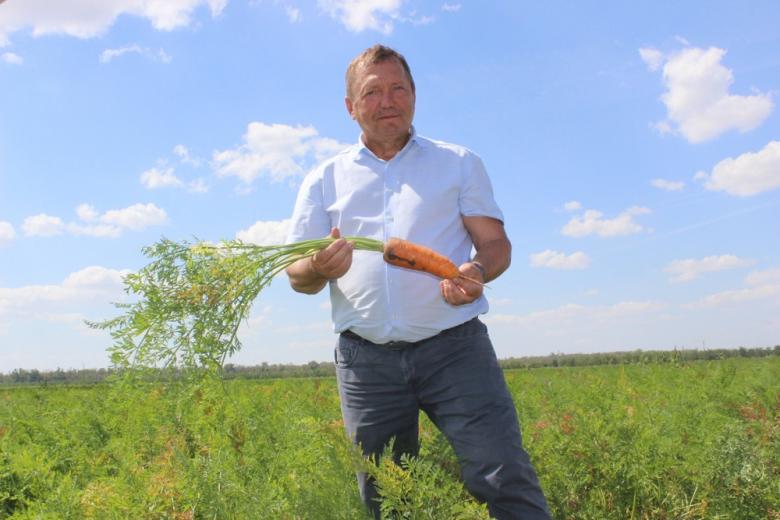 В Ростовской области наращивают производство овощей